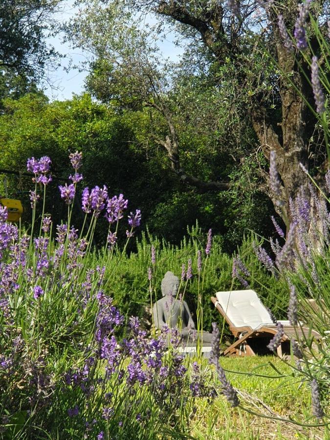 Apartment Picasso In Large Park With Heated Pool Chateauneuf-Grasse Extérieur photo
