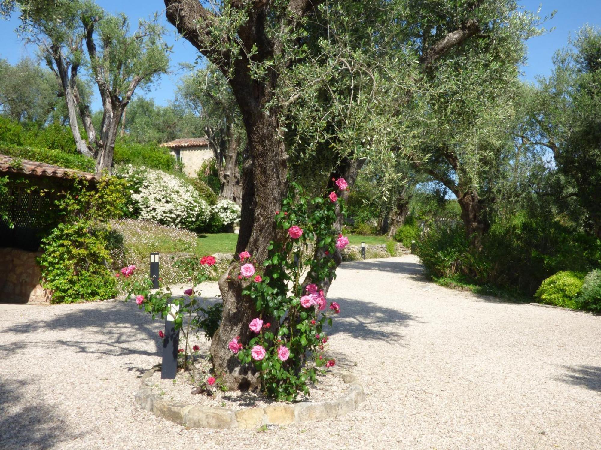 Apartment Picasso In Large Park With Heated Pool Chateauneuf-Grasse Extérieur photo